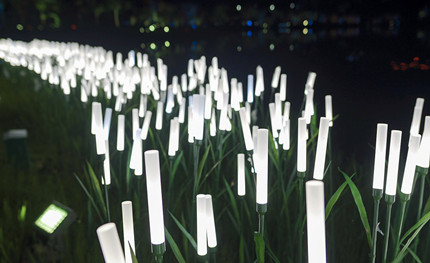 成都世警會正火熱開展，華體用夜景照明這樣添彩世警會